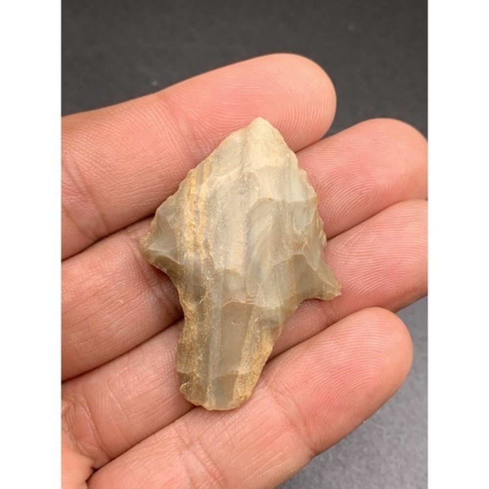 1 3/4 Inch Authentic Ancient Adena Arrowhead From Central‎ Kentucky Carter Cave